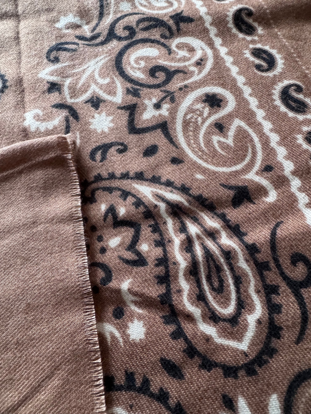 Écharpe imprimée cachemire beige
