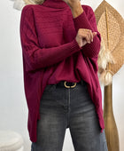 Pull col roulé prune TU 44/54