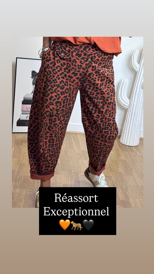 Pantalon confort Léo terracotta TU 38/46