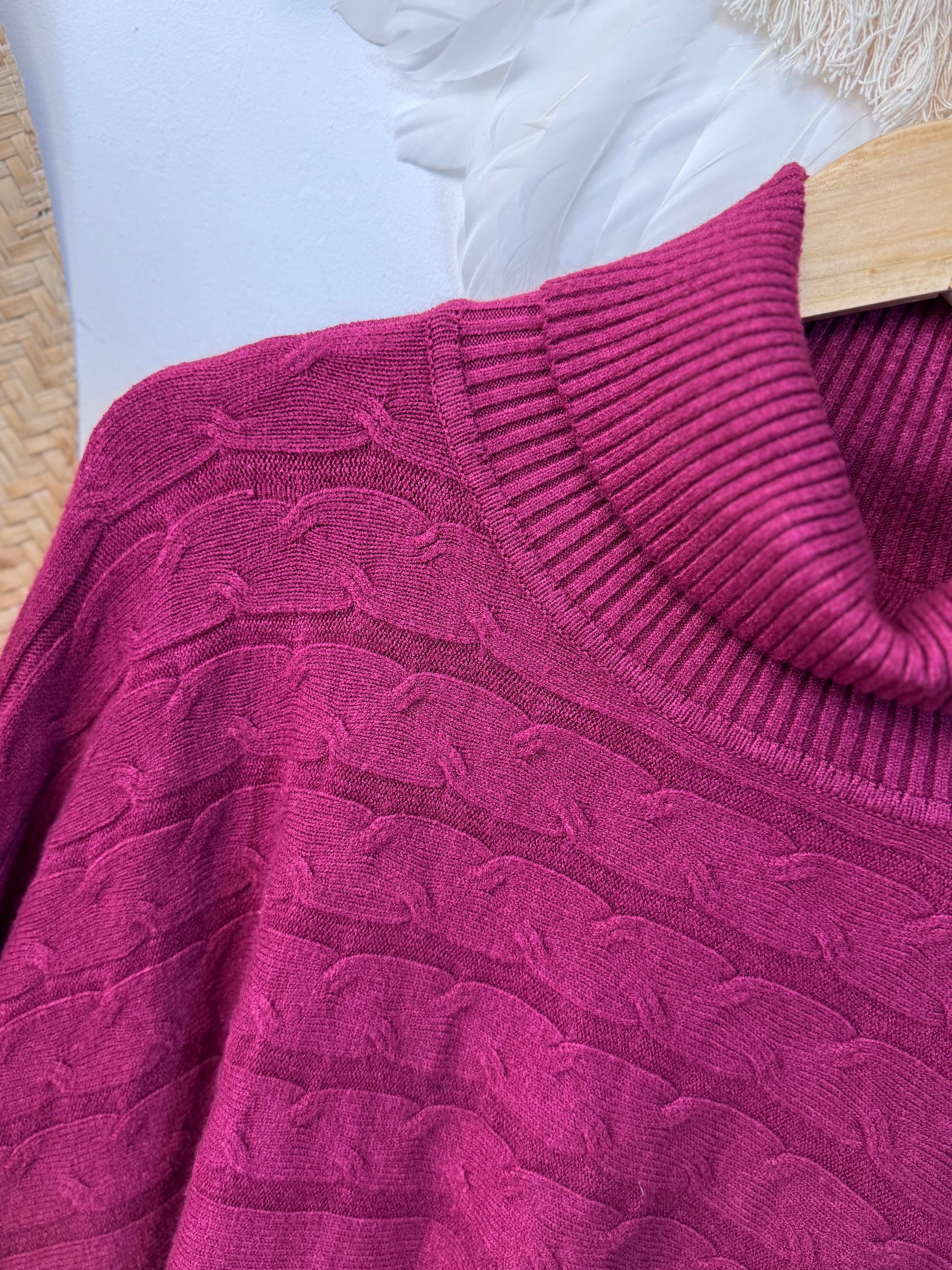 Pull col roulé prune TU 44/54