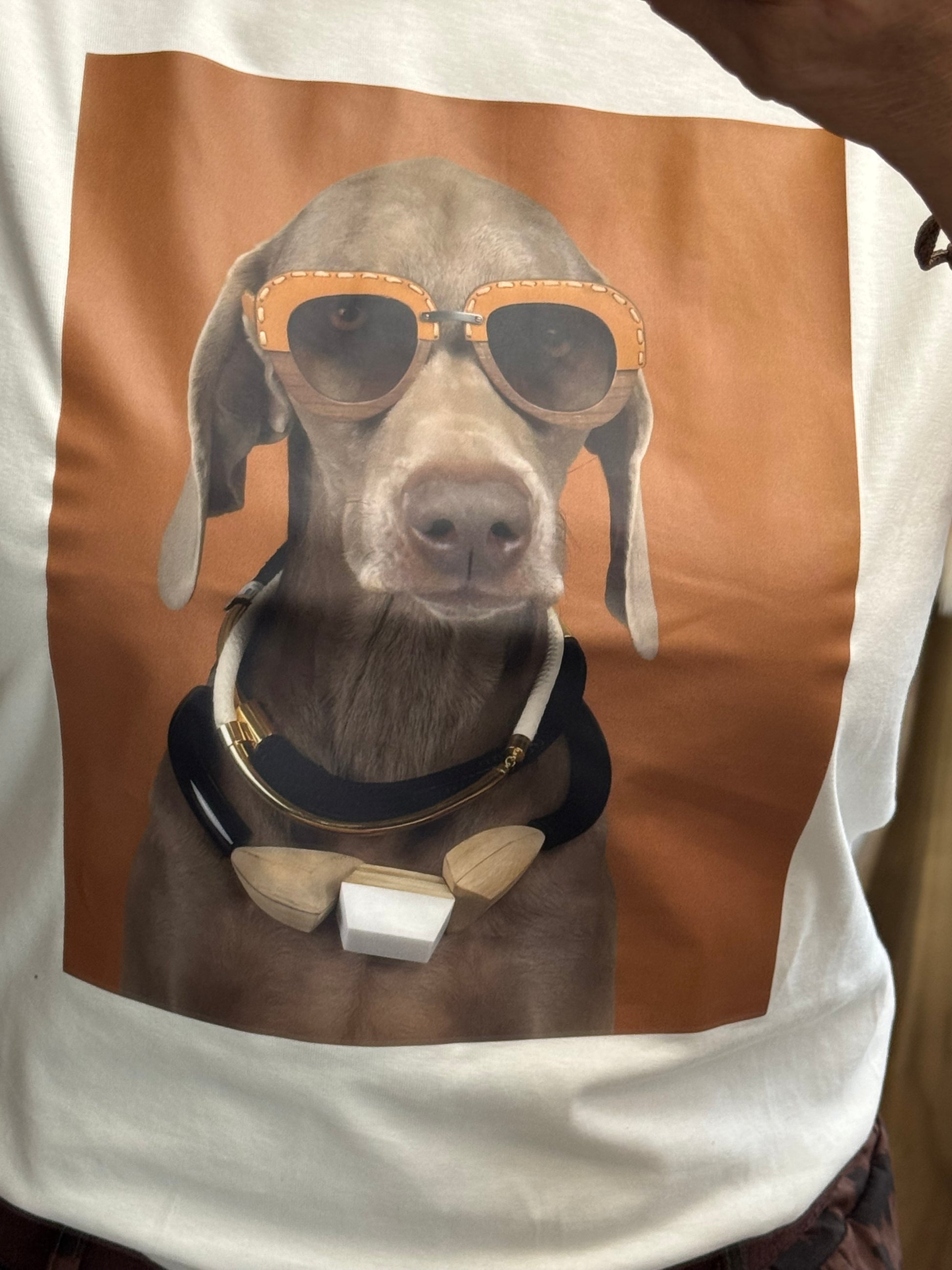 Teeshirt dog